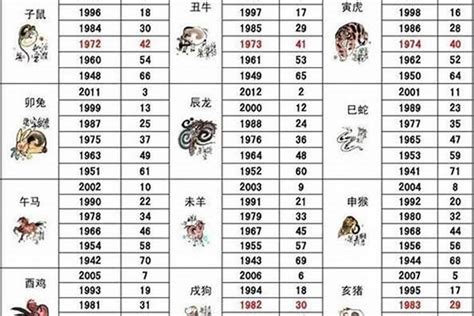 2000年 生肖|2000年属什么生肖 2000年属什么生肖几岁